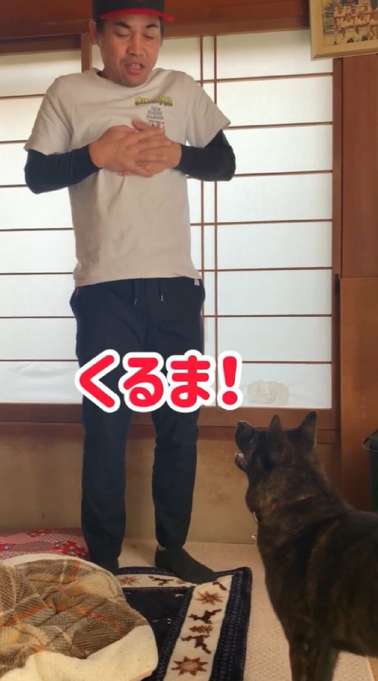 「くるま！」と言うと…