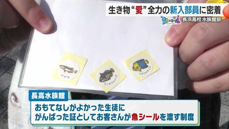 お客さんが魚シールを渡す制度