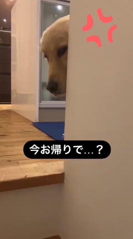 提供：エマさん