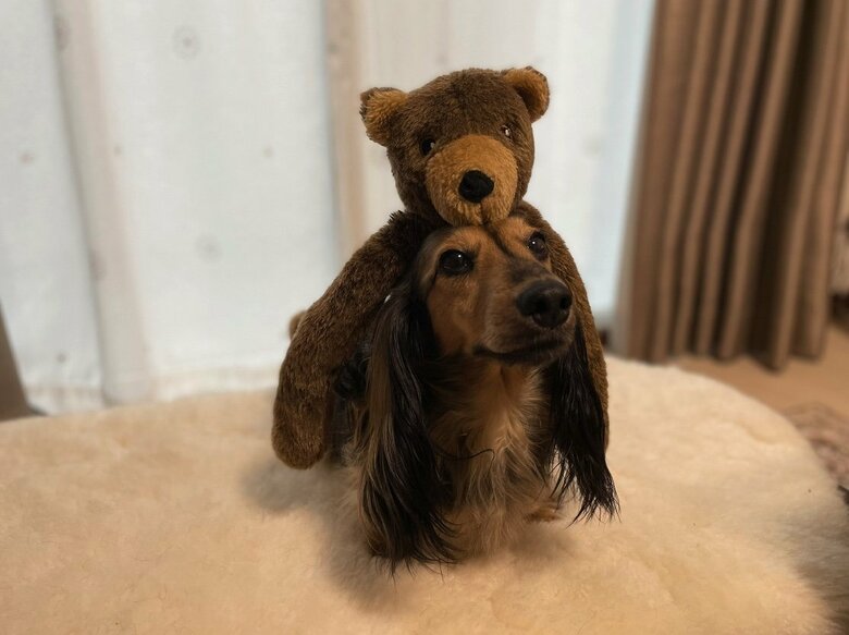 提供：るのんさん