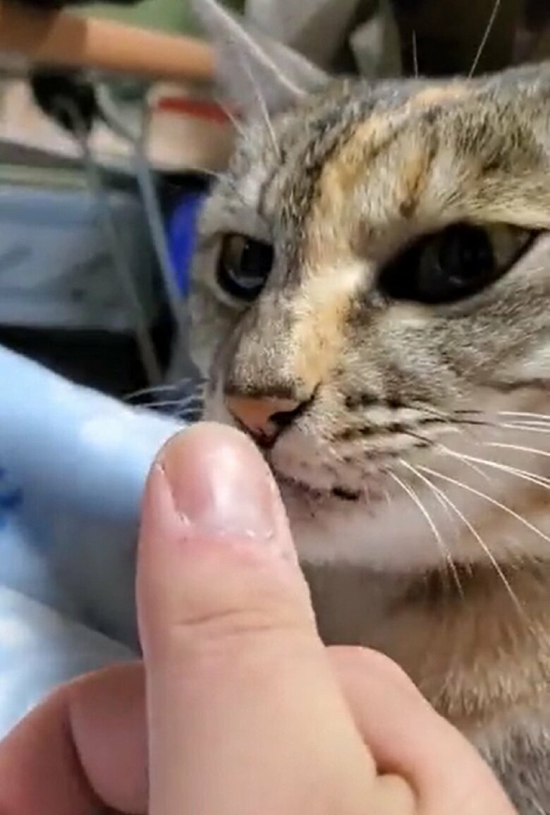 謎の指チェック