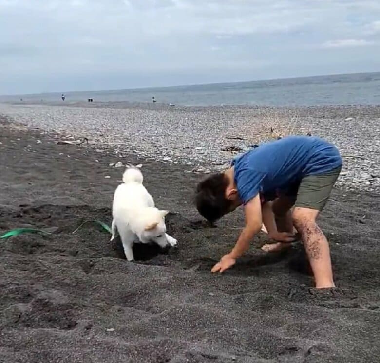 息子さんの状況が気になるのか、ハクくんがチラ見している様子も