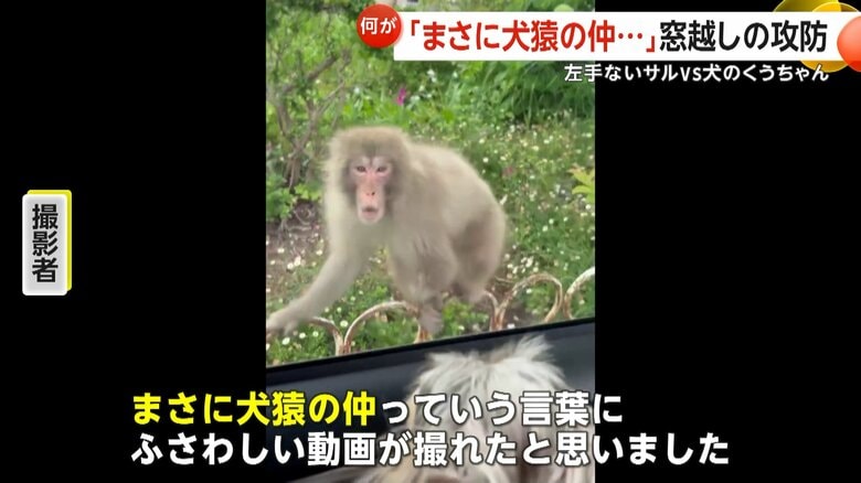 （FNN投稿サイト「ビデオPost」）