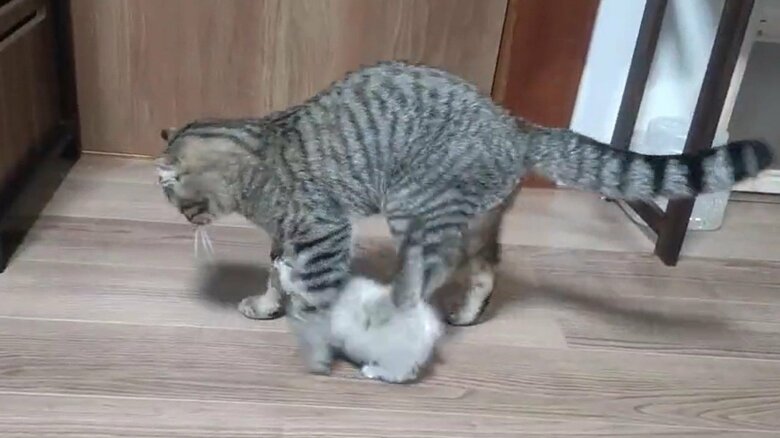 実はまたがるときにちょっと踏んでしまっていた