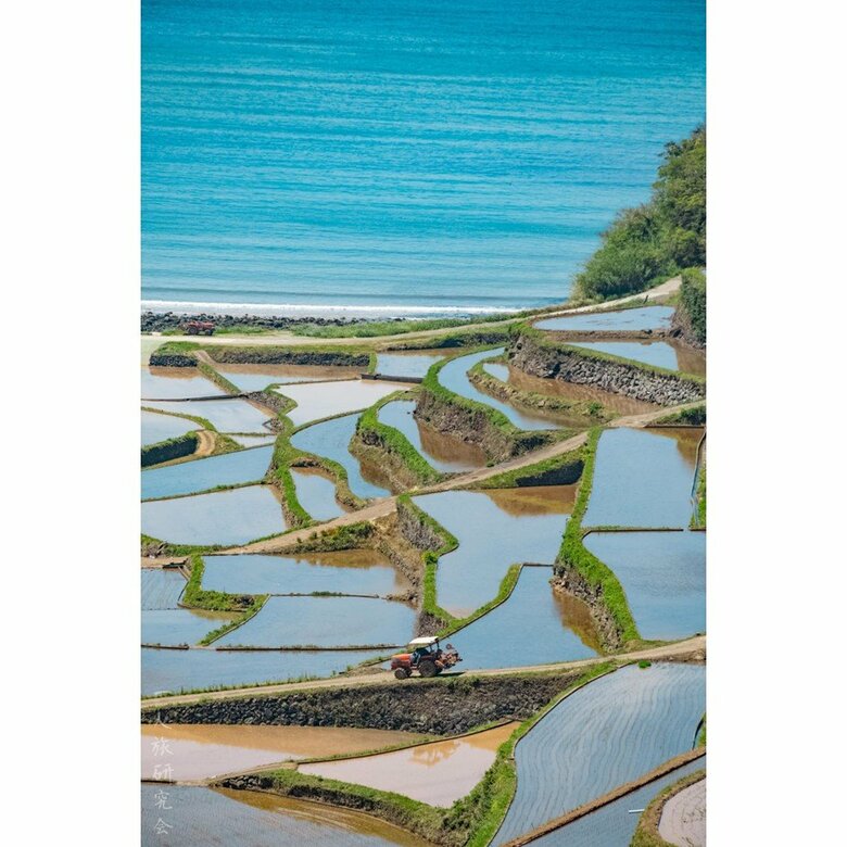 佐賀県　浜野浦の棚田（2025年4月撮影）