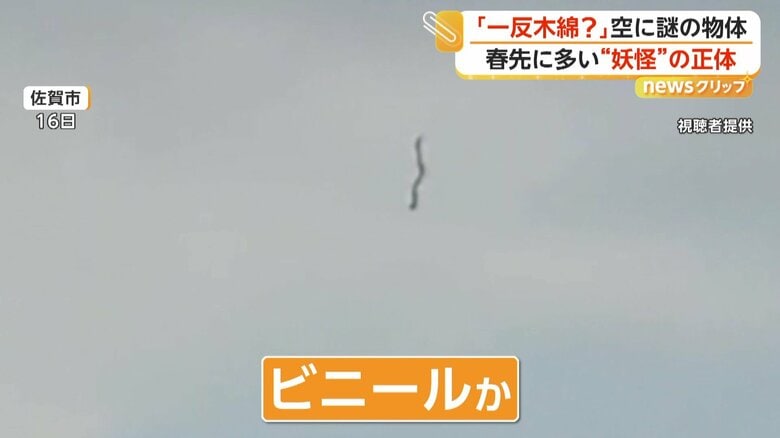 （16日、佐賀市）