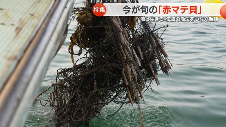 モリにかみついた「海洋ごみ」