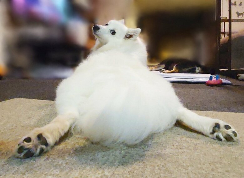 セクシーポーズ