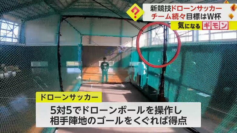 ドローンサッカーのコート