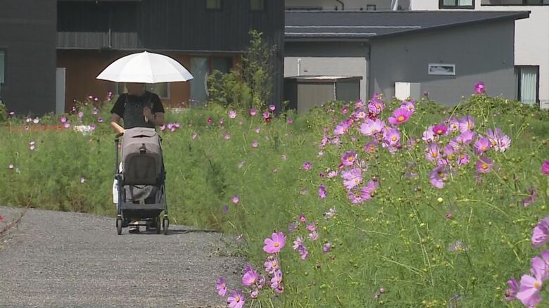 秋の訪れを歓迎する一方で…