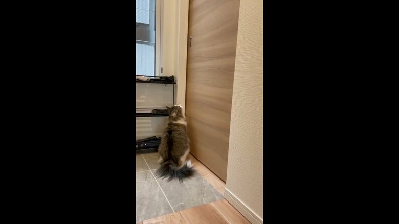 仕事部屋の前で主人を待っている