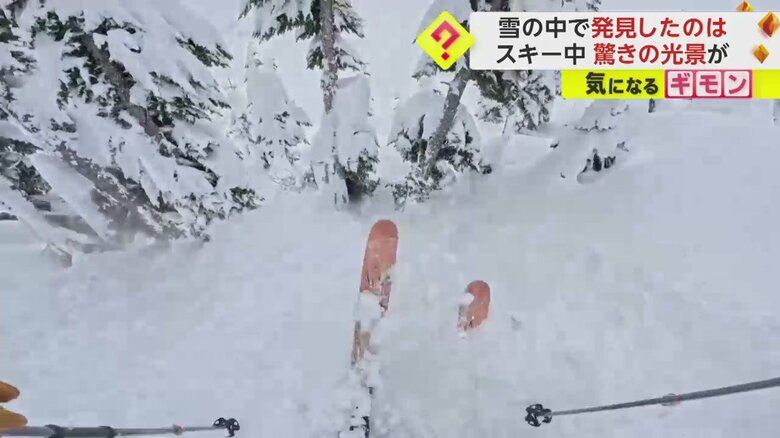 転倒すると簡単に両足が雪にはまってしまうほど深い雪（画像提供：Francis Zuber via TMX.）