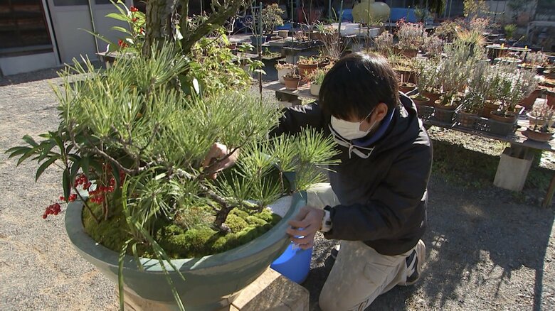 大道庭園で行われる「春飾り」の準備（2022年12月）