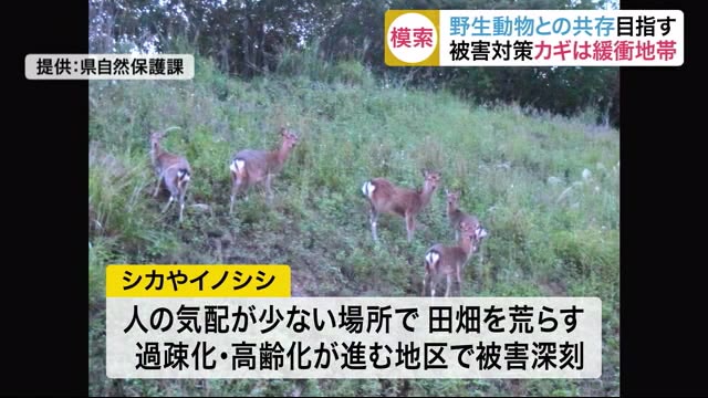 農作物などの被害深刻…被害対策のカギは「緩衝地帯」 野生動物との共存を目指す〈宮城・気仙沼市〉