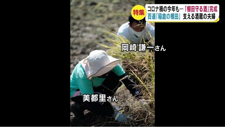 オーナーとして稲刈りなどを体験