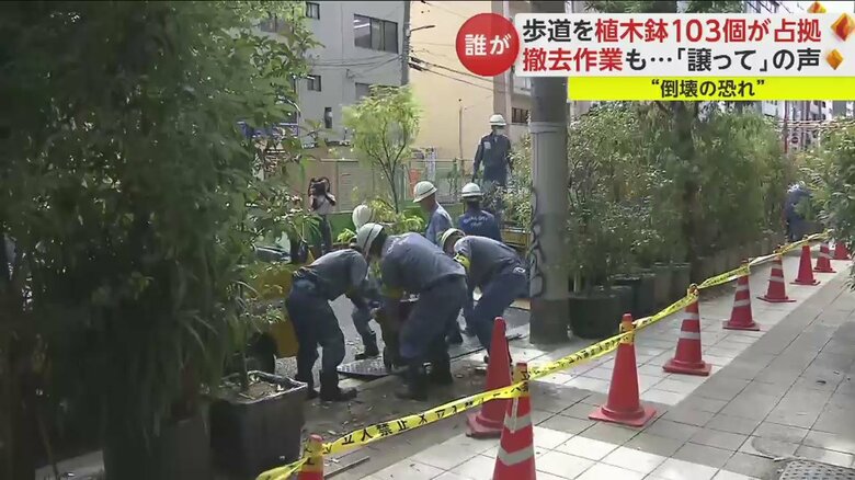 歩道にずらっと並ぶ植木鉢