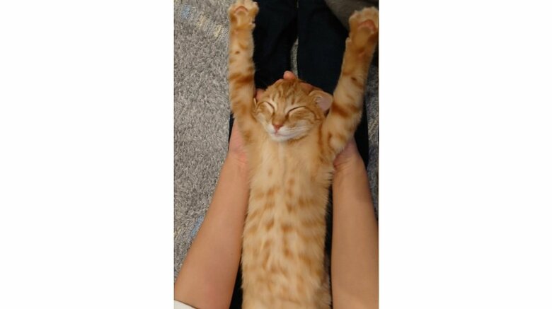 何もされてもなすがまま