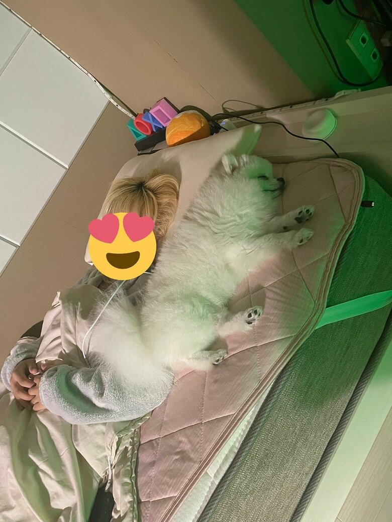 飼い主さんと一緒にベッドで寝ているという