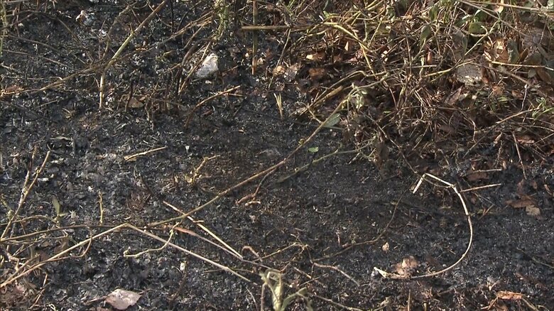 21日も宇都宮市内で雑木林など燃える