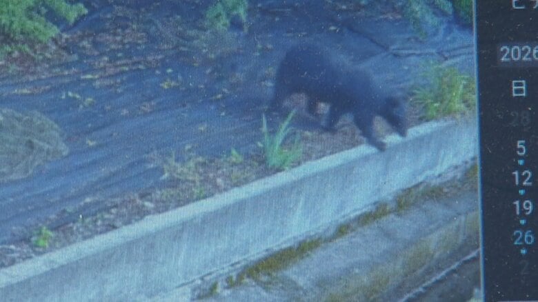 富山市婦中町（26日　住民提供の防犯カメラの映像）