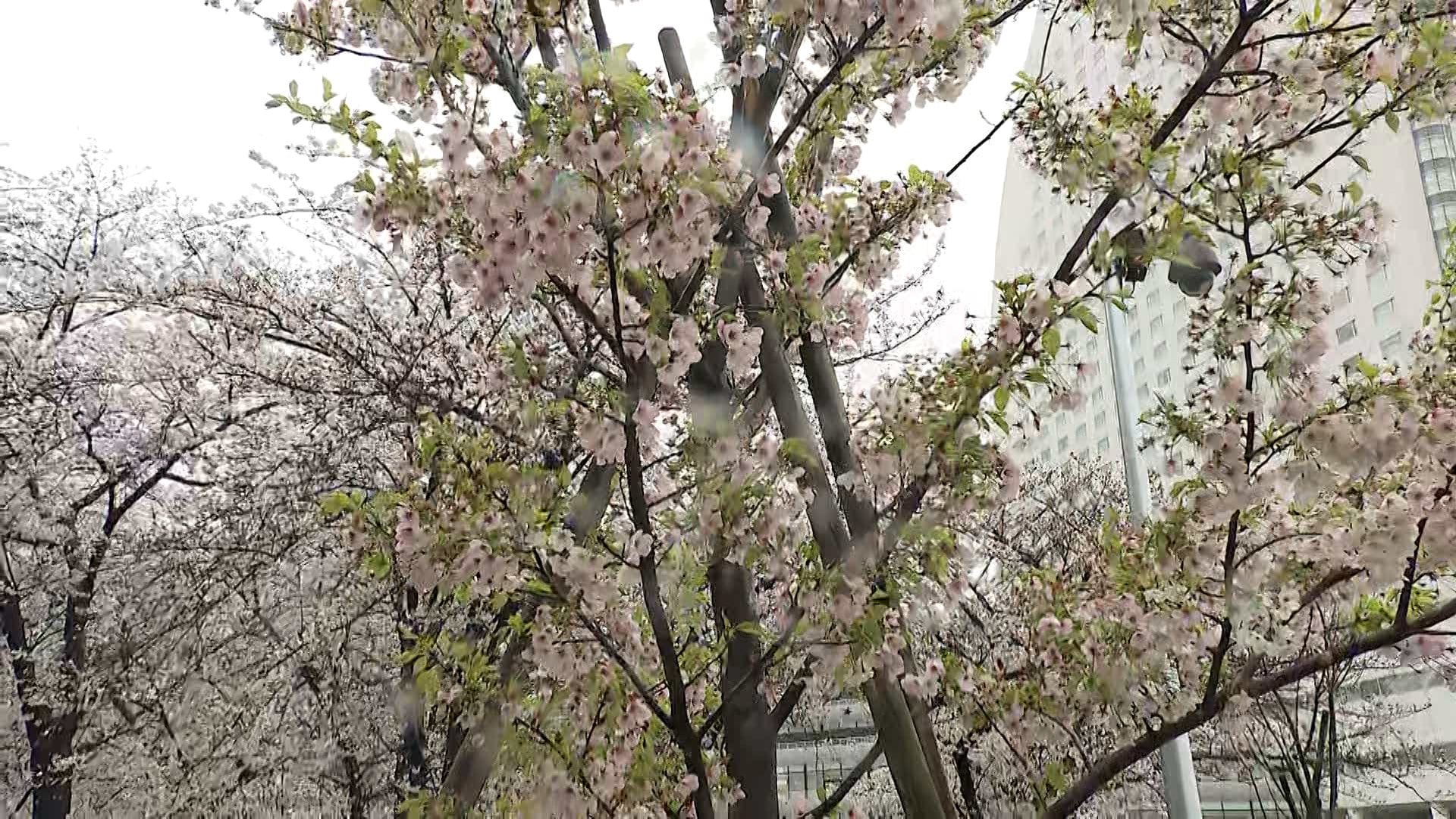 横浜・みなとみらいに強い雨　観光スポットにも人の姿なし　関東では今年一番の大雨になるおそれ