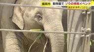 8月12日「世界ゾウの日」を前に　福岡市動物園でゾウの特別イベント　飼育員が子供たちに解説　9月12日まで毎週土曜日は「夜の動物園」も