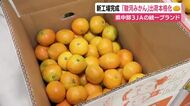 静岡県中部の3JA共同利用の選果場完成　統一ブランド「駿河みかん」出荷本格化