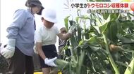 耕作放棄地再生に駄菓子店が一役…瀬戸内市の小学生がトウモロコシ収穫体験　店頭で販売へ【岡山】