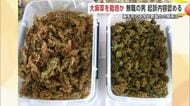 大麻草を自宅で栽培　秋田市の男（40）起訴内容認める　知人とみられる横手市の中学教諭ら4人も逮捕