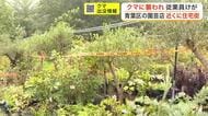 園芸用品店でクマによる人身被害　仙台市では今年初　６０代男性従業員が顔や手を噛まれ負傷