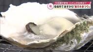 「日豊海岸岩ガキまつり」5月9日から　大ぶりな身と濃厚なうまみが特徴　大分県佐伯市