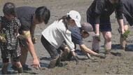  「泥あったかい」青空の下で田植え体験　親子で食と農業を学ぶ　11月まで稲刈りや精米も