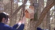 中学生が野鳥の巣箱かけ体験　自然環境守る活動　岩手県盛岡市