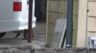 サルに襲われる相次ぎ2人けが 作業員の背中に飛びつく