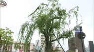 出雲市では観測史上最大27.5メートル 各地で強風吹き荒れる(鳥取・島根)