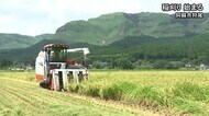 阿蘇市で稲刈りはじまる【熊本】