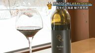 「醸造所の愛情伝わるワイン」北海道の余市町にある『オチガビワイナリー』ワインでの地方創成　注目スポット小樽レンガ倉庫街では小樽運河クルーズ楽しむ