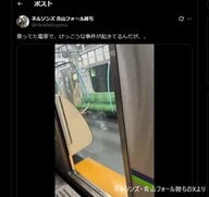 ネルソンズ・青山フォール勝ちさんがモバイルバッテリー発火の現場に居合わせ…「けっこうな事件が」白煙上げる電車内映像も投稿　都営新宿線 