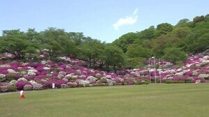 東尋坊は2019年から9割減 ゴールデンウィークの観光地入込【福井】