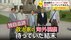 追跡スクープ「税金を使った海外視察に勝手についていってみた」