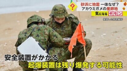 旧日本軍・九三式戦車地雷】アカウミガメ産卵地で…元自衛隊員・男性が偶然発見「なんでこんな場所にあるんだろう」 福岡｜FNNプライムオンライン