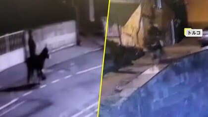 ロバに乗った強盗犯が逃走…フォークリフトでシャッターこじ開け金150グラム強奪も逃げ切れず　ロバは“飼いロバ”　トルコ