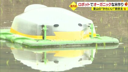 高齢化や担い手不足に悩む農業分野に“カワイイ相棒”が登場！最新技術で問題解決へ…米のブランド化も視野に