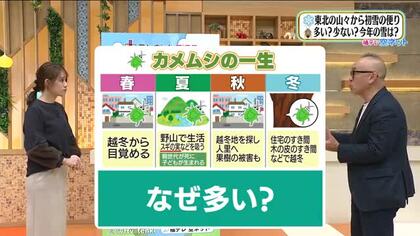 厄介な来客が告げる厳冬 　天気の「ことわざ」は本当か？　カメムシ大発生から読み解く2025年の冬