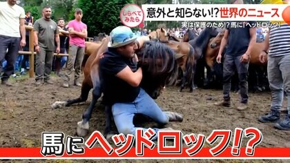 今何が？意外と知らない“海外ニュース”【しらべてみたら】