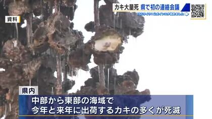 ”横田県政”初日　カキ大量死　県で初めての連絡会議を開催「カキ産業は広島にとって大変重要な産業」広島