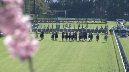 【春の短距離王決定戦 高松宮記念・G1】 待ちに待った春G1ついに開幕！最速王目指す日本屈指のスプリンターたちが激突…隠れた穴馬を紹介！