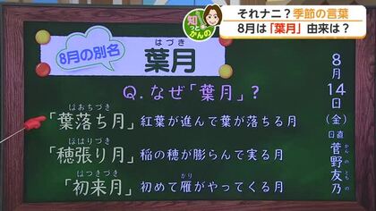 お盆期間　土日の天気は？お出かけは雨具を持って　日曜は暑さ和らぐ