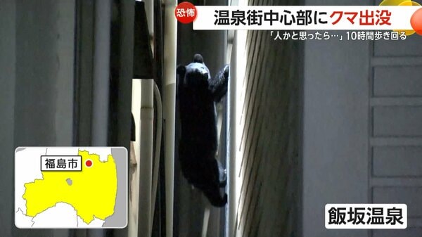 人かと思ったら黒い物体」福島の温泉街中心部に“熊”…建物から建物へ