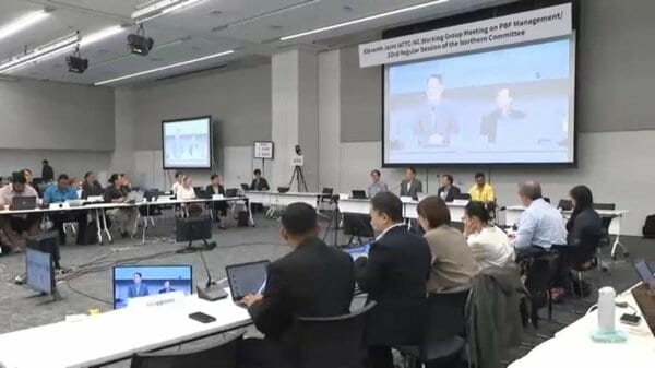 太平洋クロマグロの漁獲枠めぐる国際会議　日本は漁獲枠増を求める方針｜FNNプライムオンライン